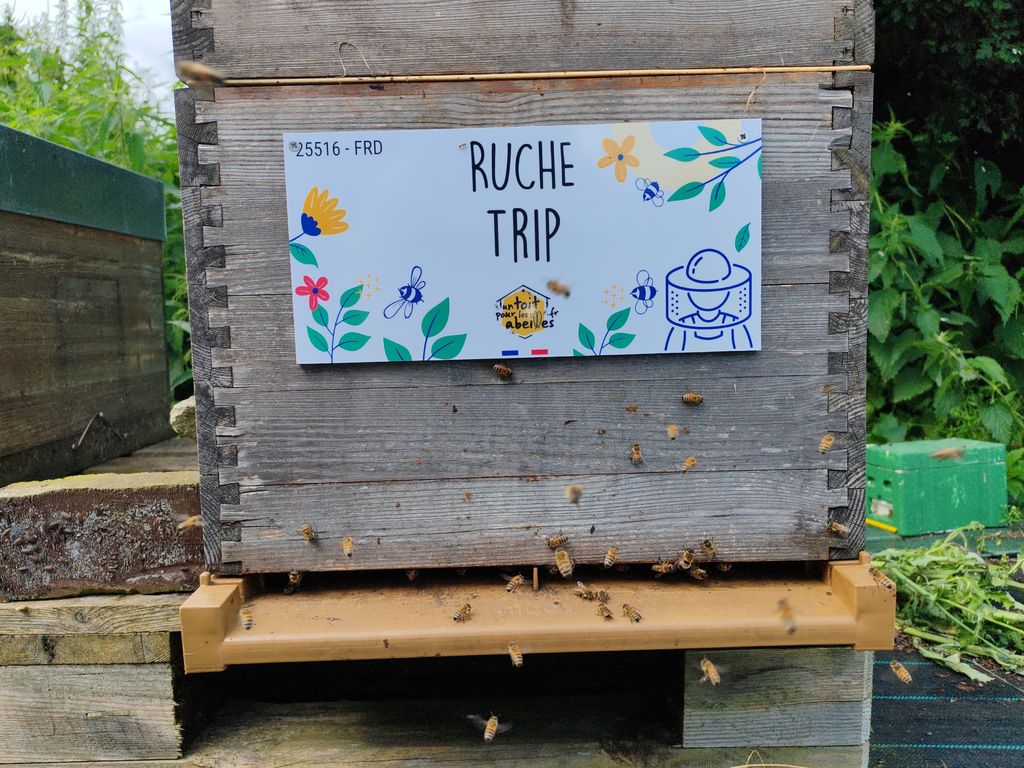 La ruche