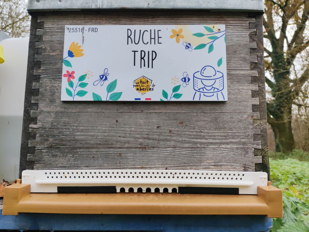 La ruche Trip