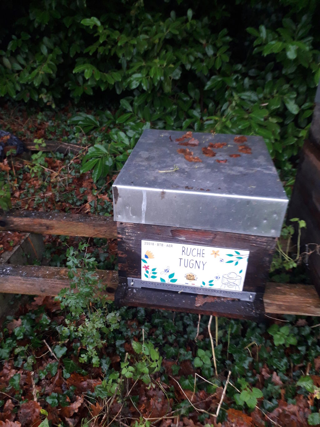 La ruche Tugny