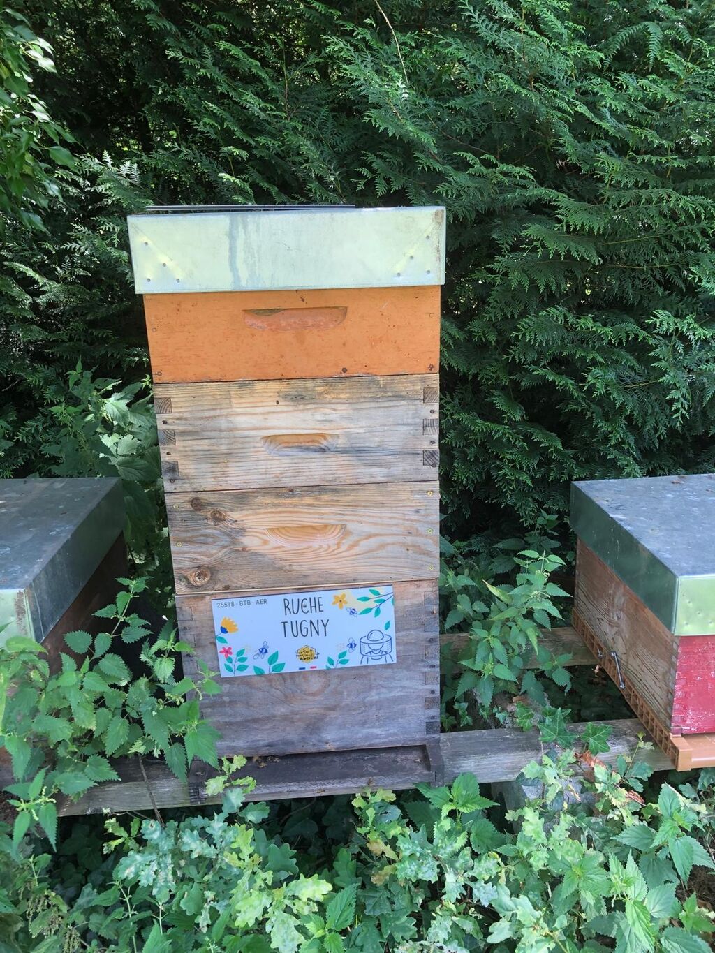 La ruche Tugny