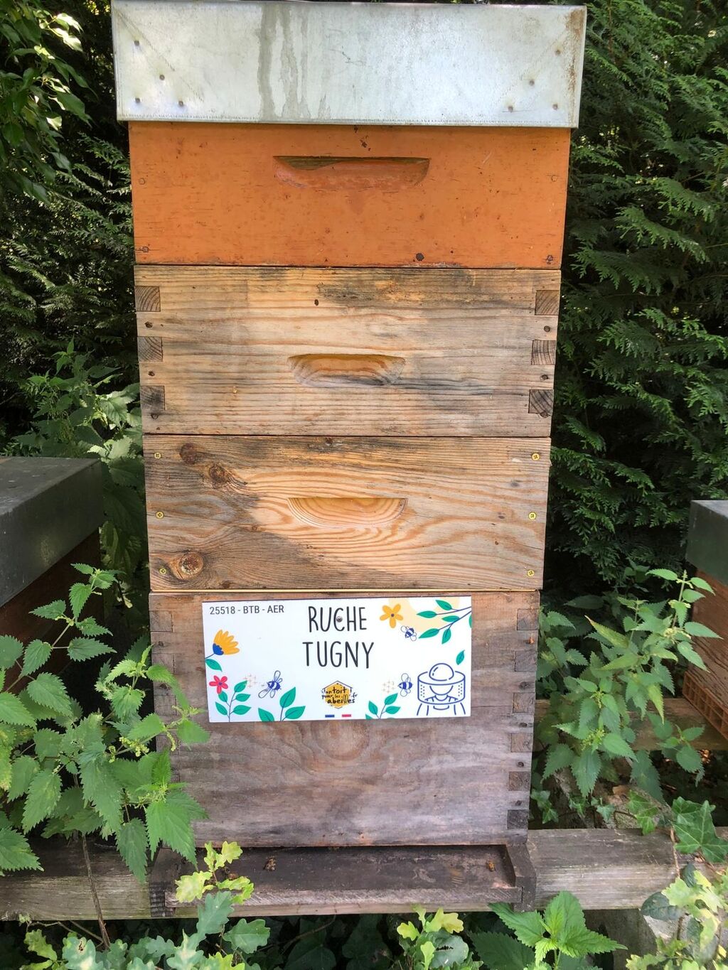 La ruche Tugny