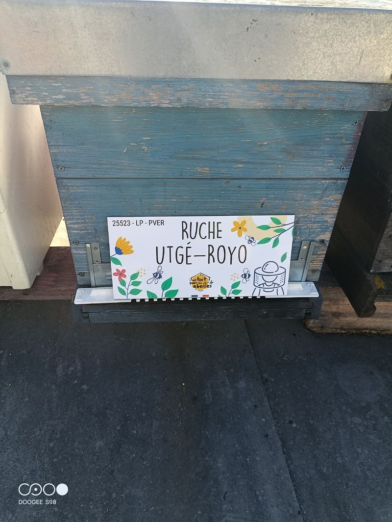 La ruche