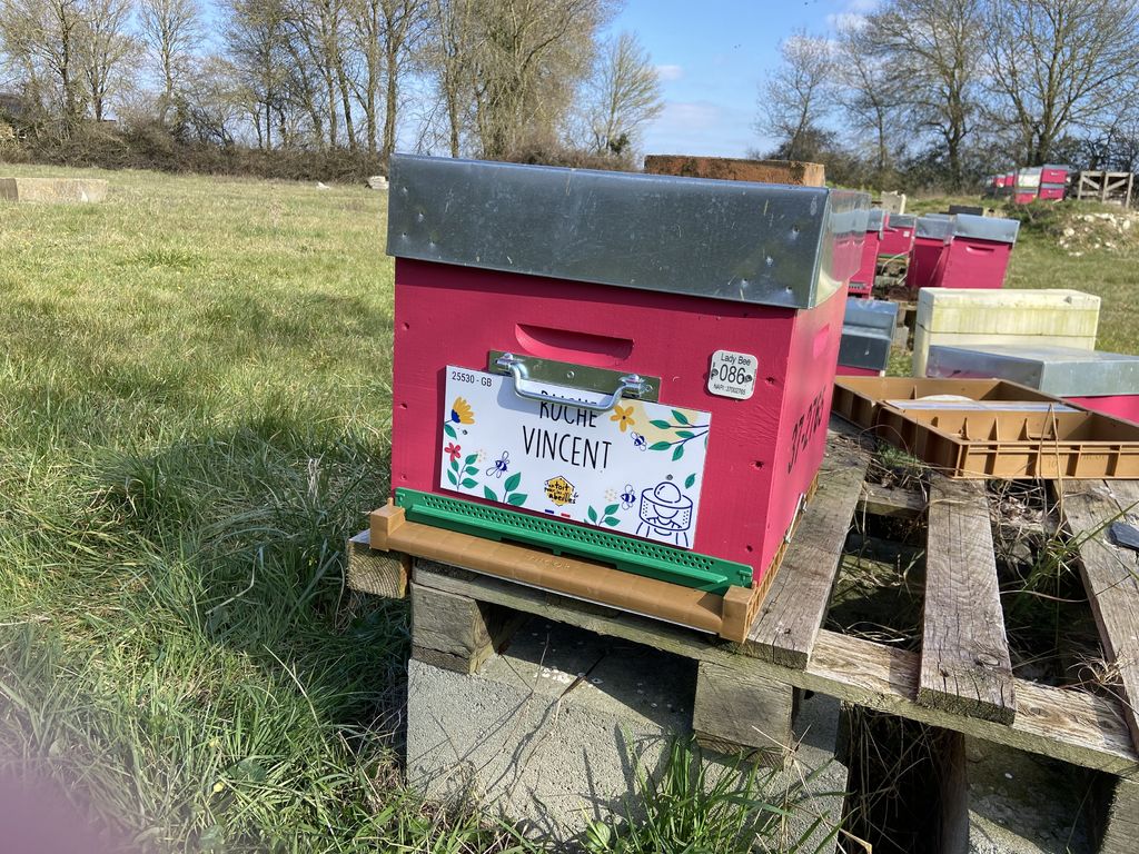 La ruche Vincent