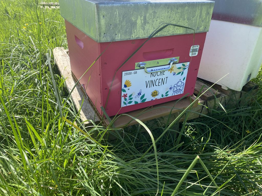 La ruche Vincent