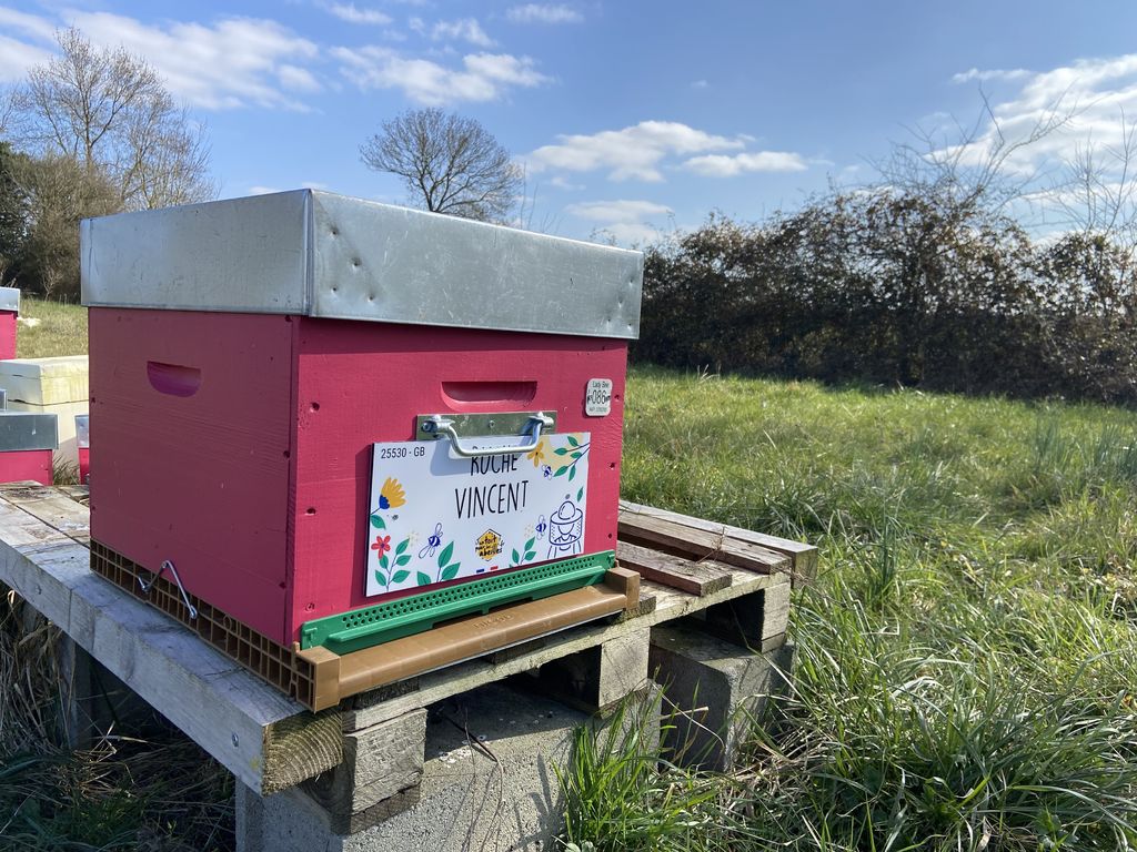 La ruche Vincent