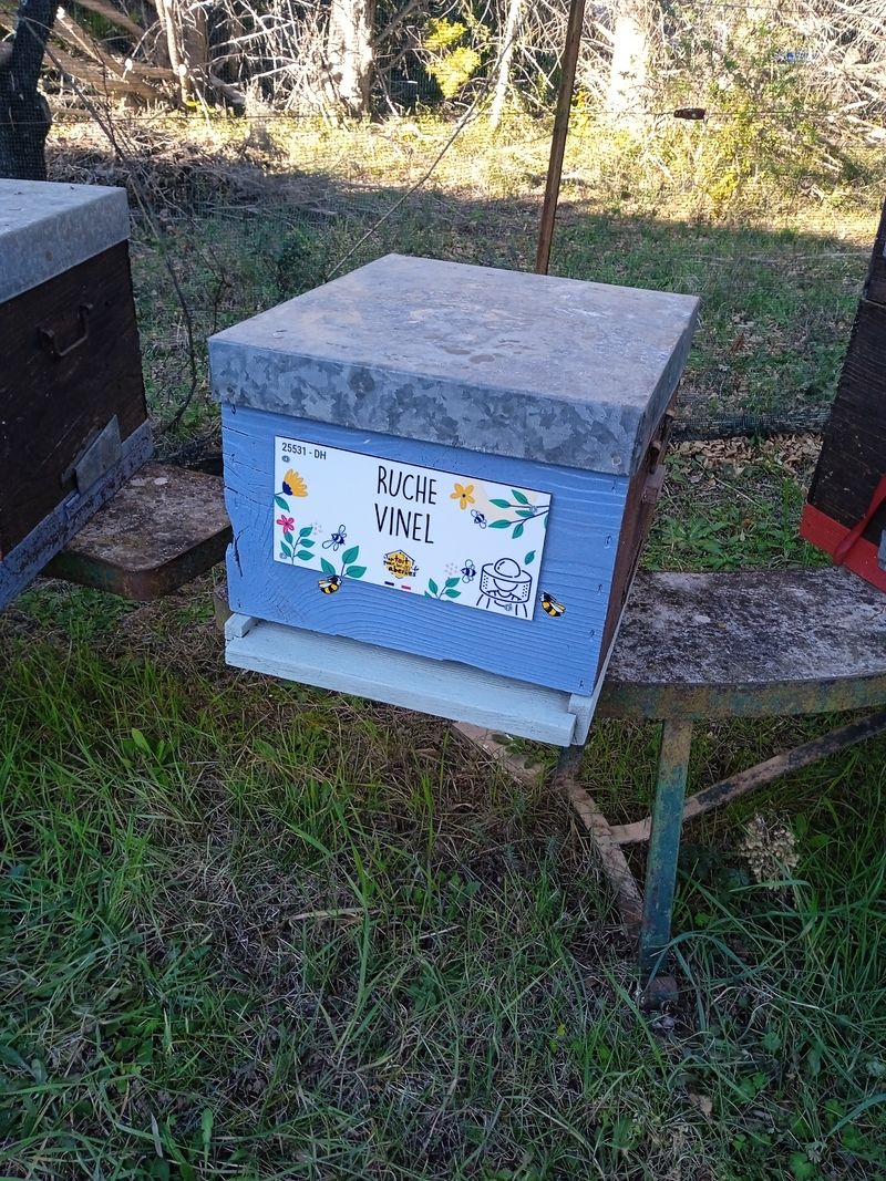 La ruche Vinel