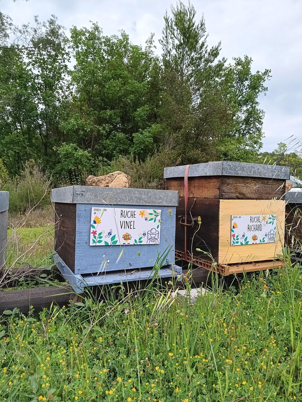 La ruche Vinel