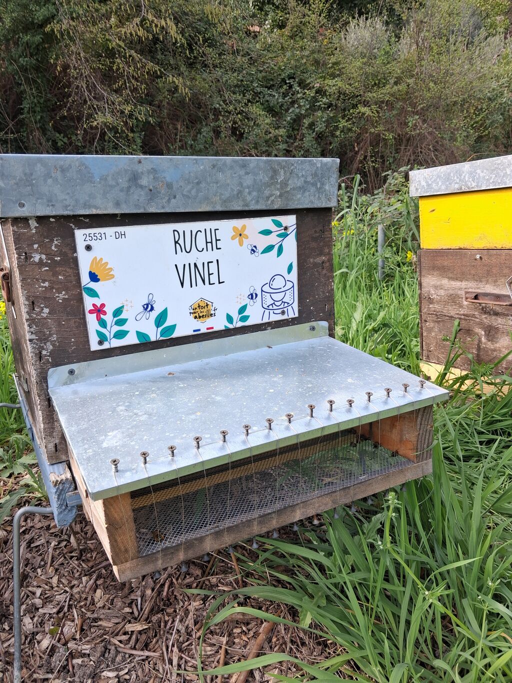 La ruche Vinel