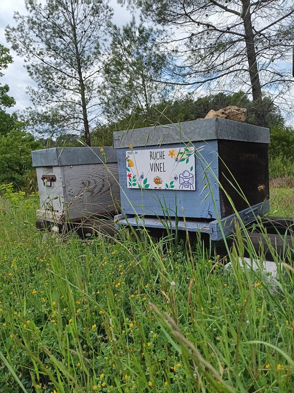 La ruche Vinel
