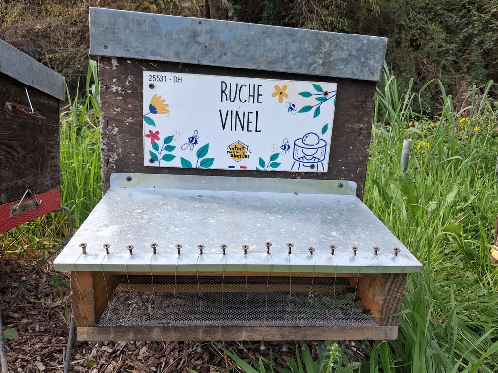 La ruche Vinel