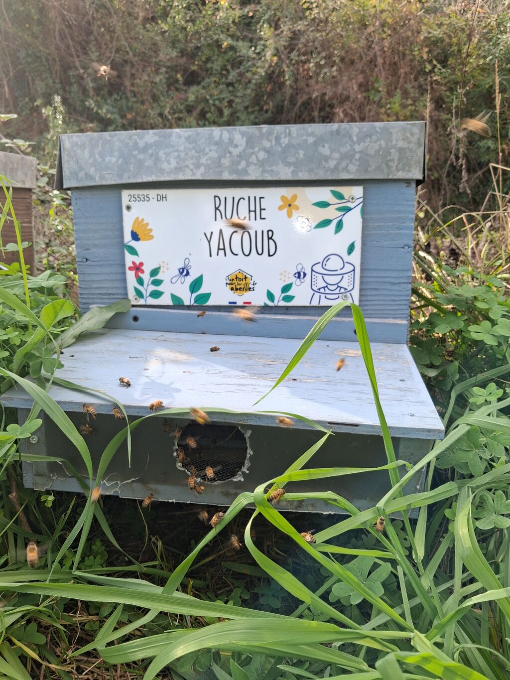 La ruche Yacoub
