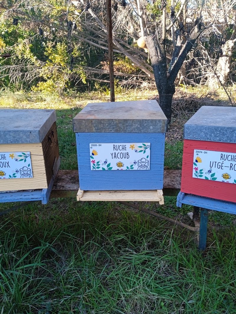 La ruche Yacoub