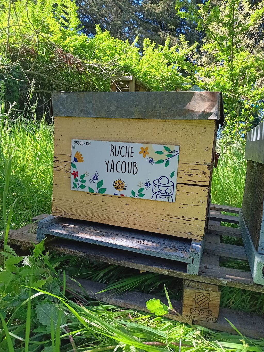 La ruche Yacoub
