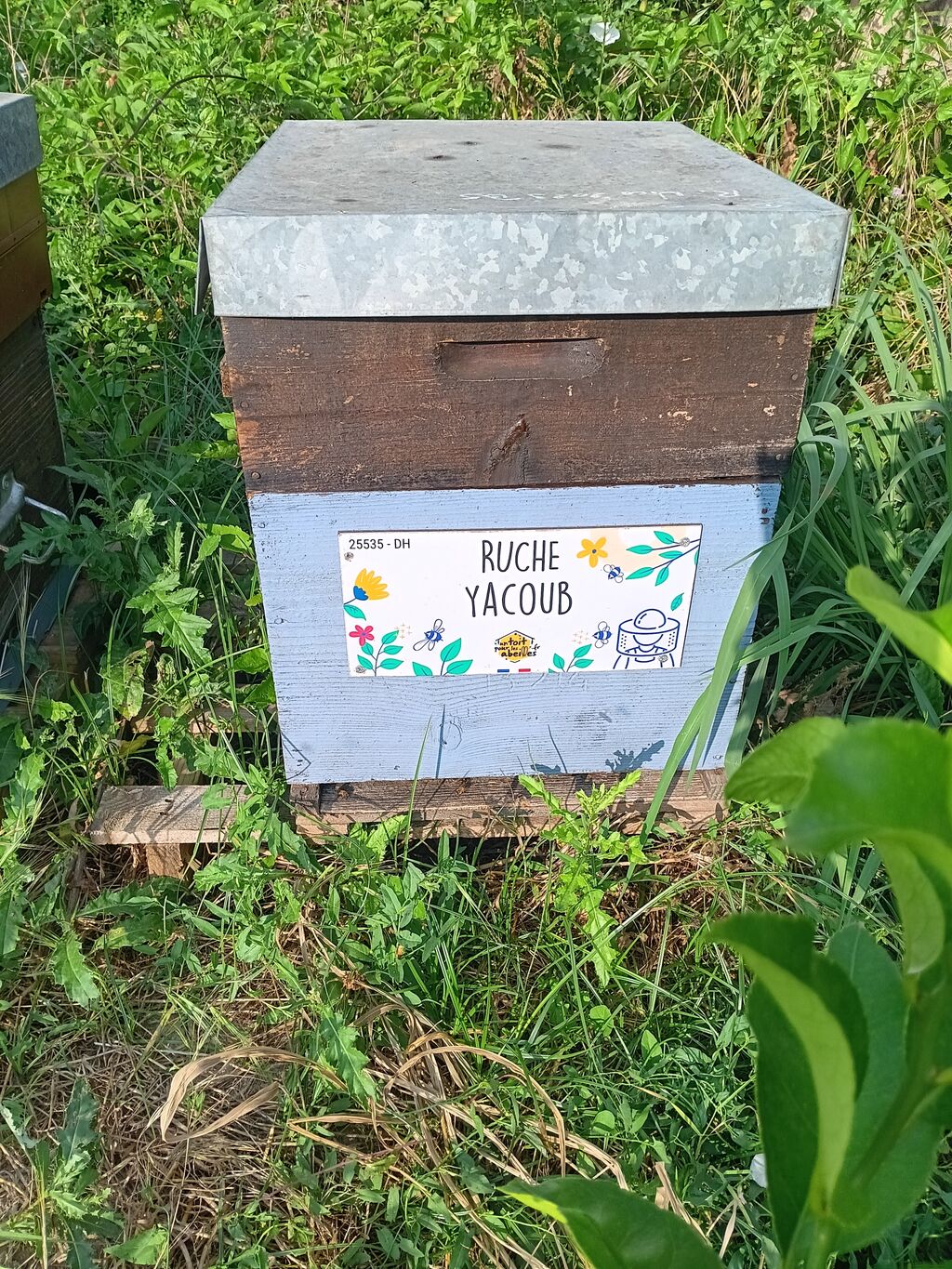La ruche Yacoub