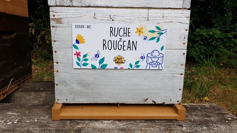 La ruche