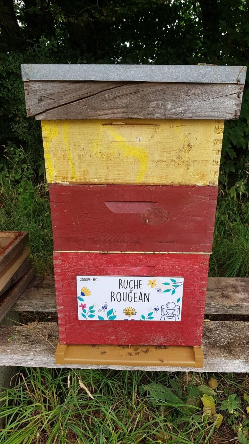 La ruche Rougean