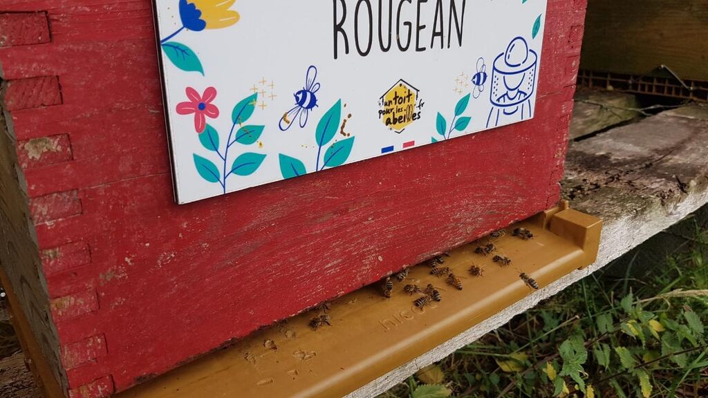 La ruche Rougean
