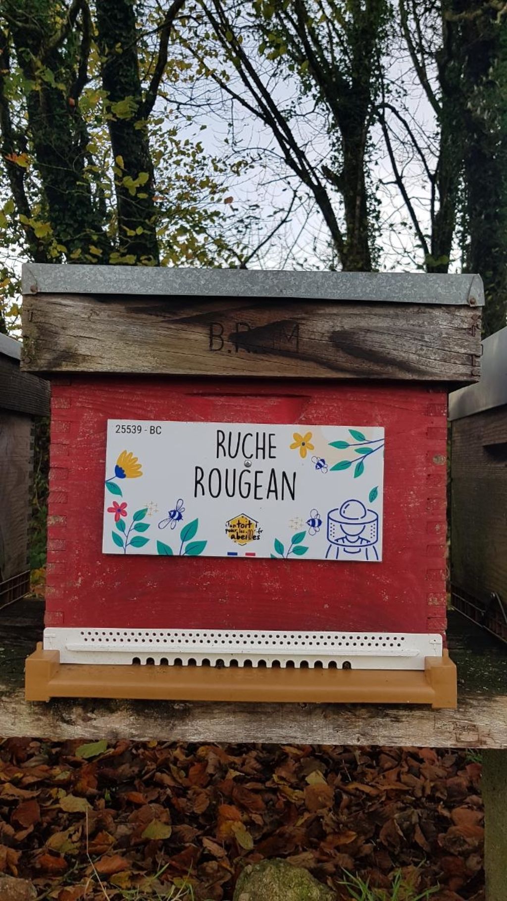 La ruche Rougean