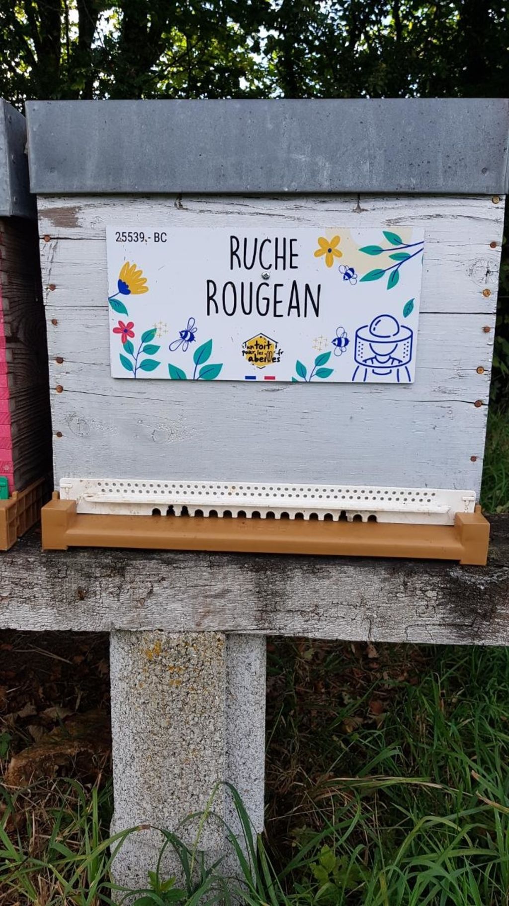 La ruche Rougean
