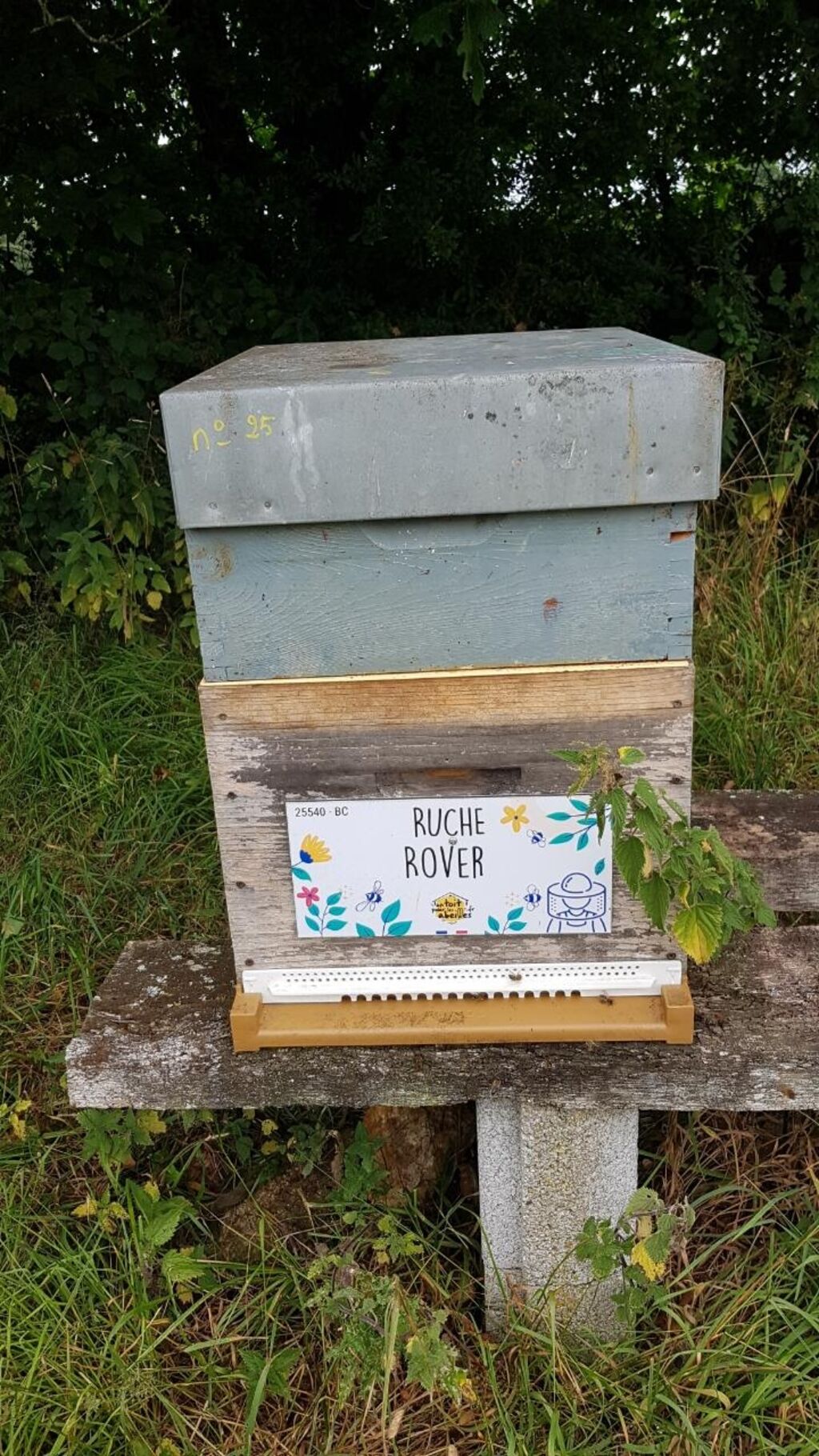 La ruche Rover