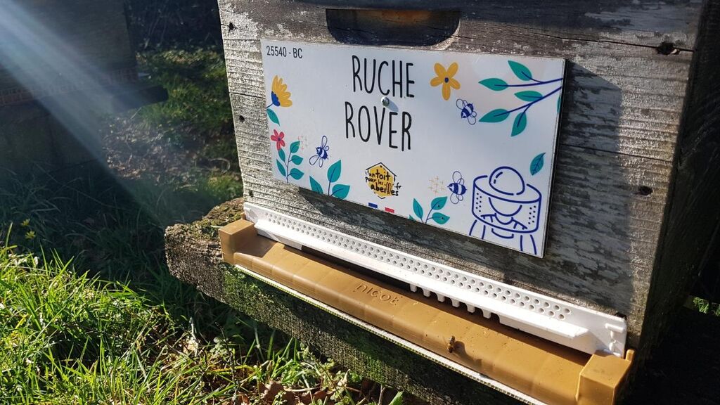 La ruche Rover 
