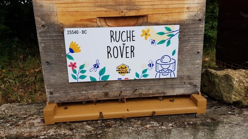 La ruche Rover