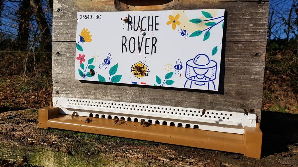 La ruche Rover