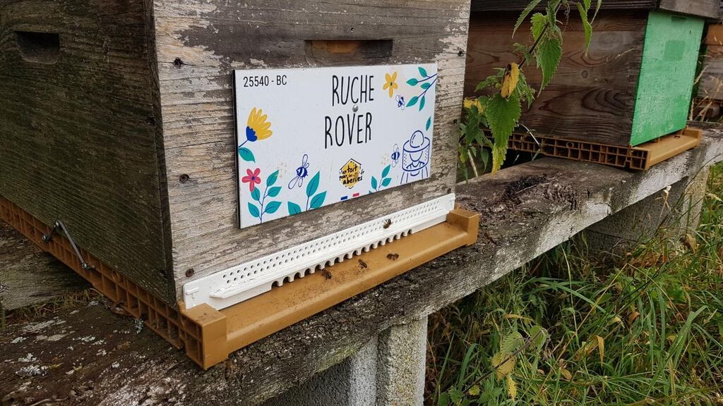 La ruche Rover