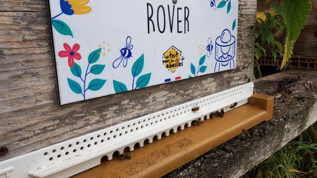 La ruche Rover