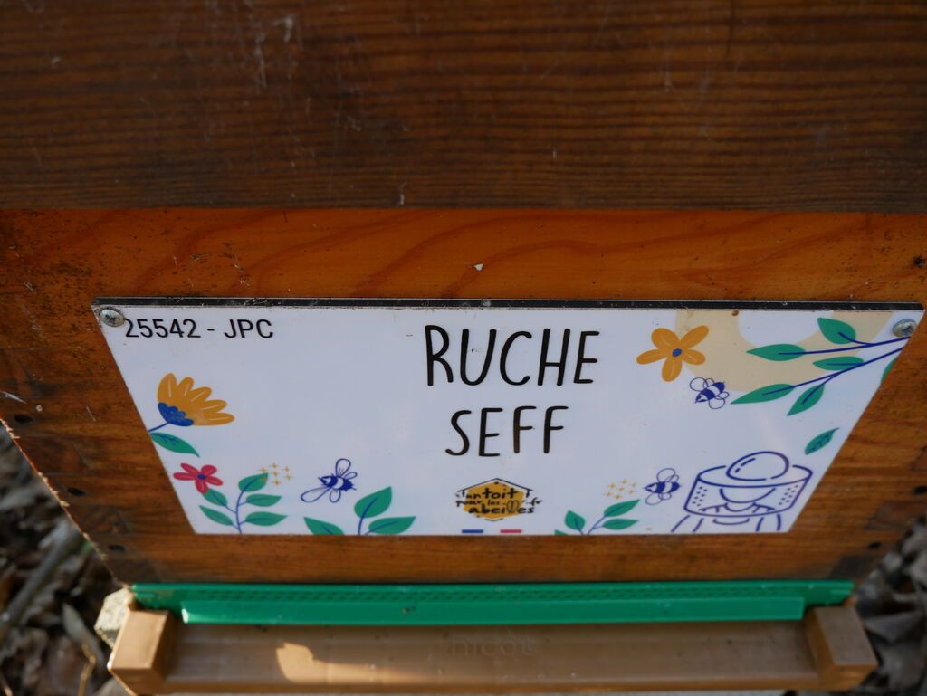 La ruche Seff
