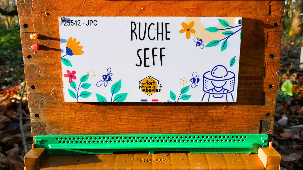 La ruche Seff