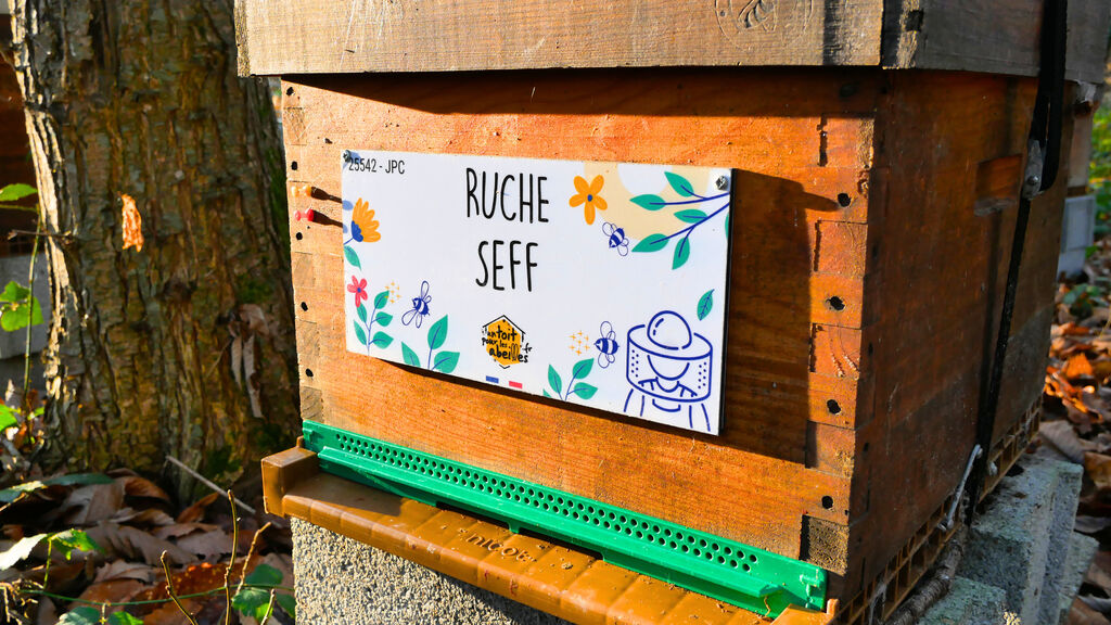 La ruche Seff