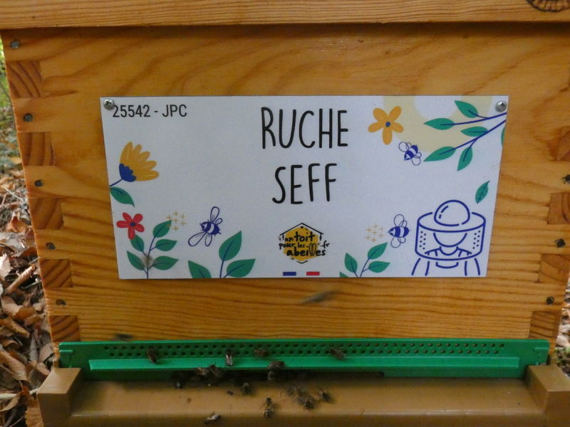 La ruche