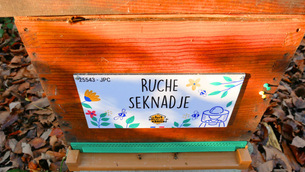 La ruche Seknadje