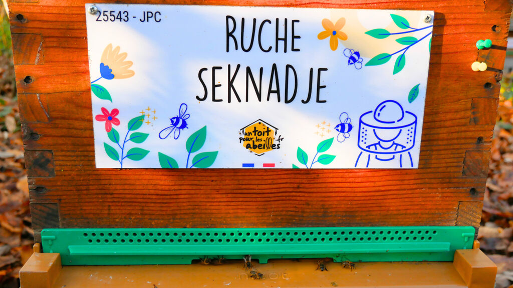 La ruche Seknadje