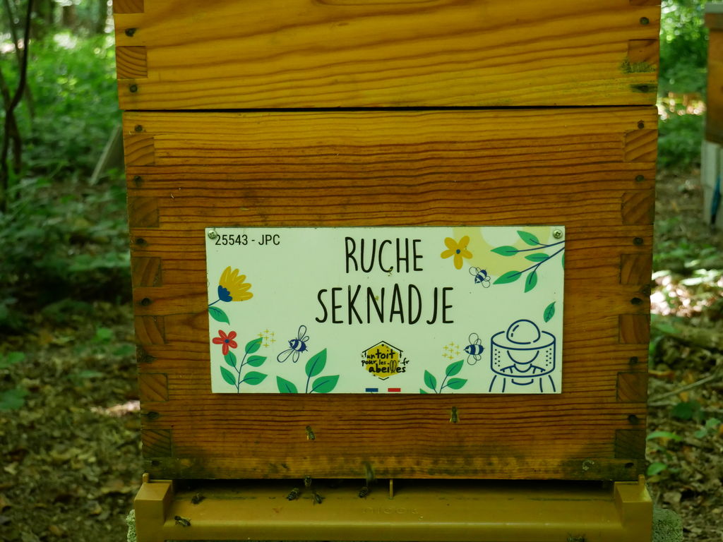 La ruche Seknadje