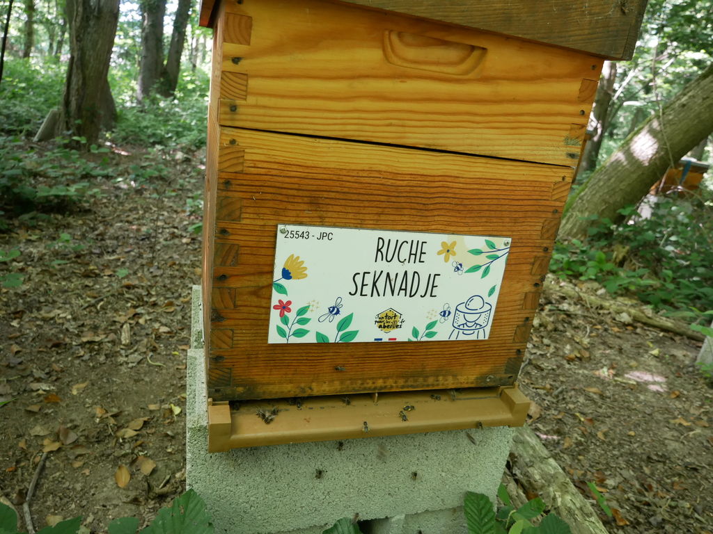 La ruche Seknadje