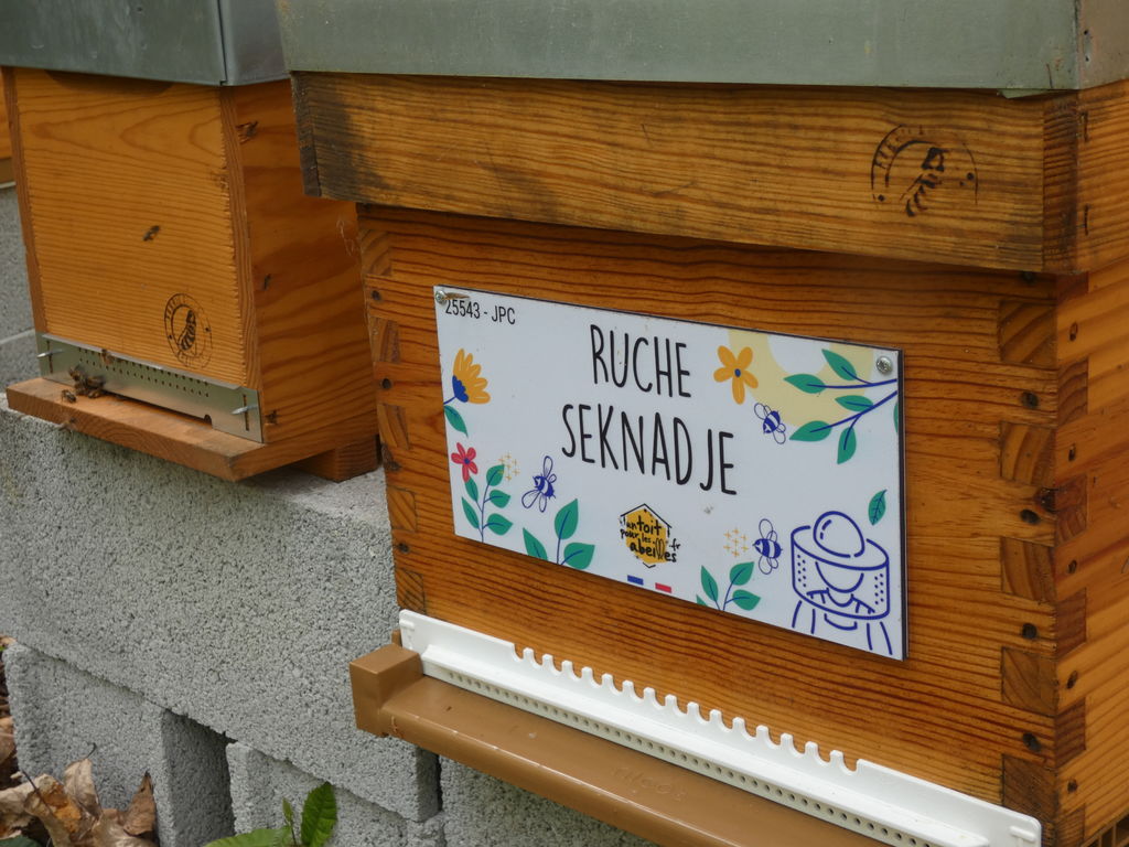La ruche Seknadje
