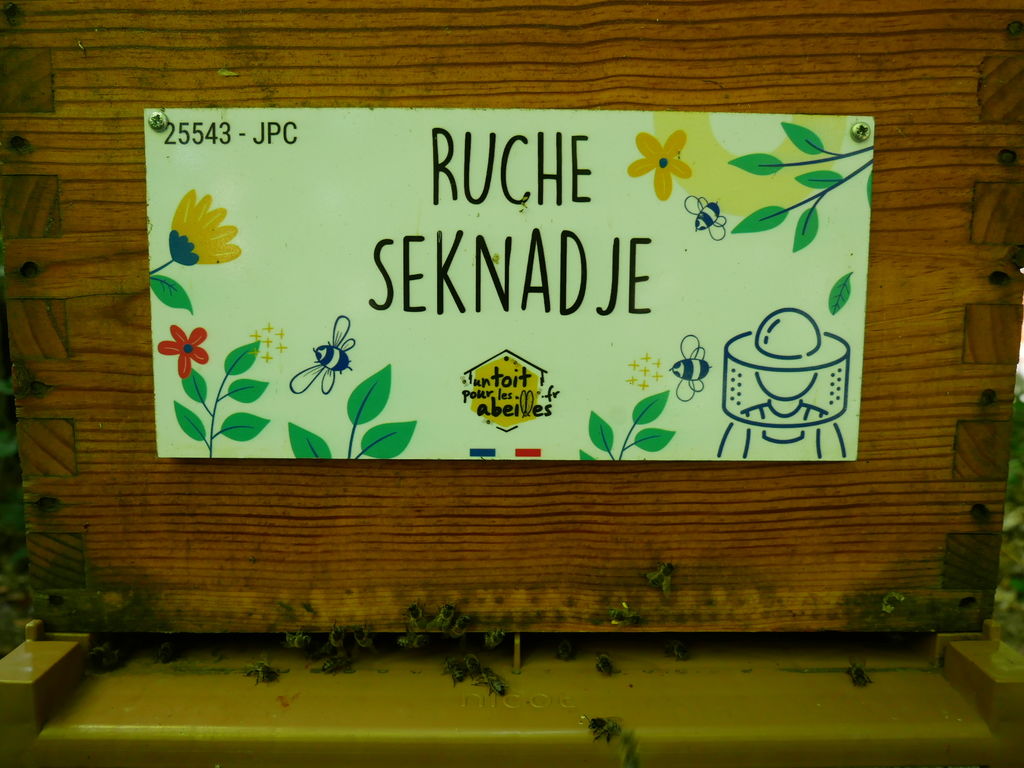 La ruche Seknadje