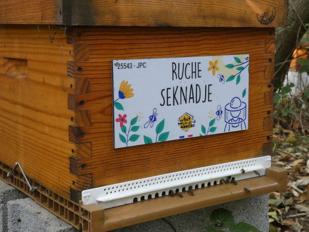 La ruche Seknadje