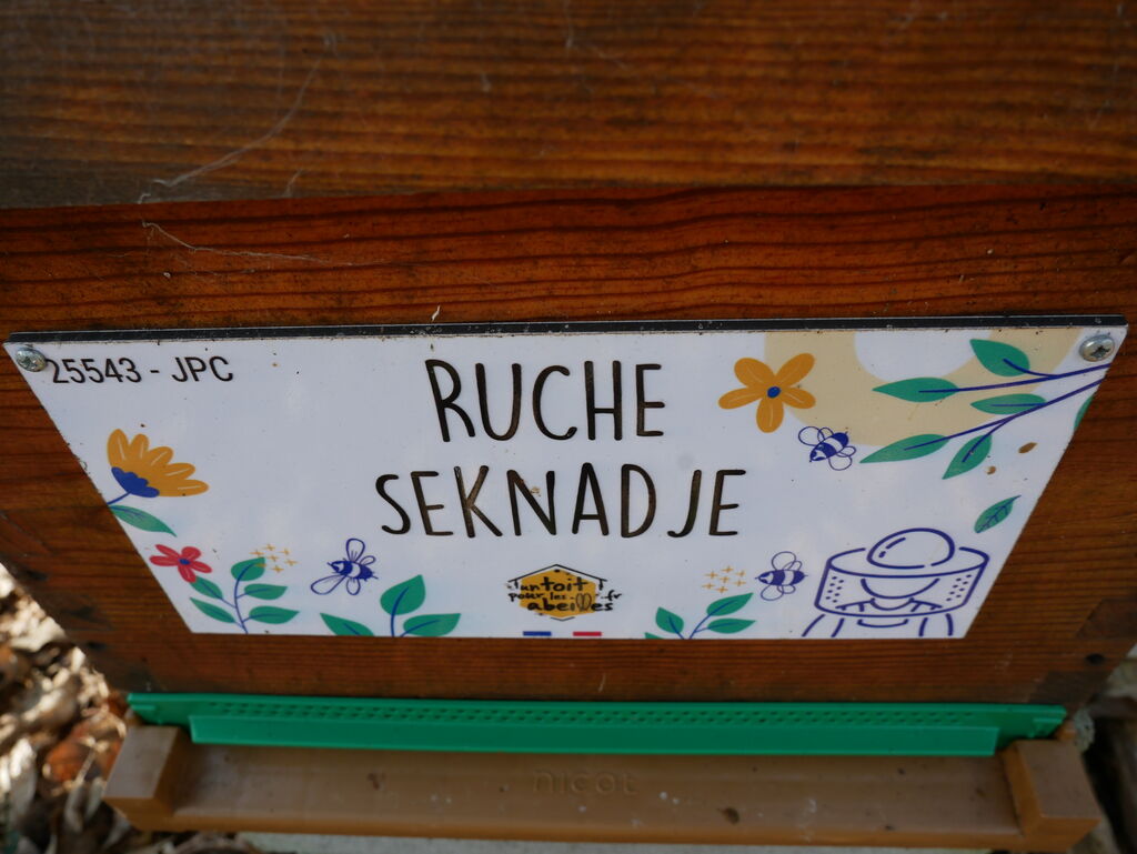 La ruche Seknadje