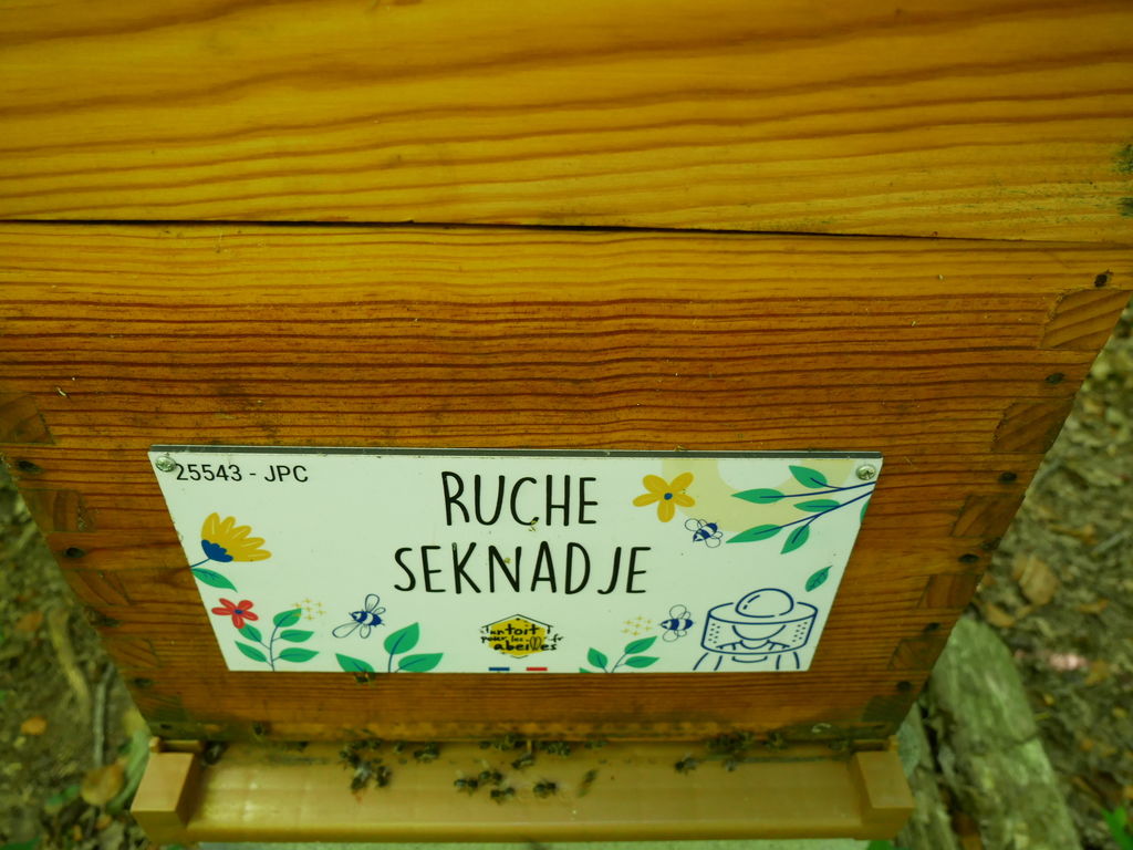 La ruche Seknadje
