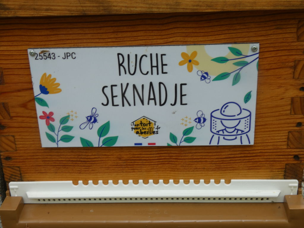 La ruche Seknadje