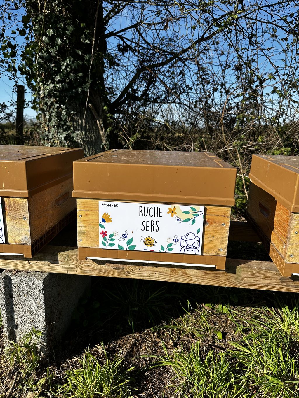 La ruche Sers