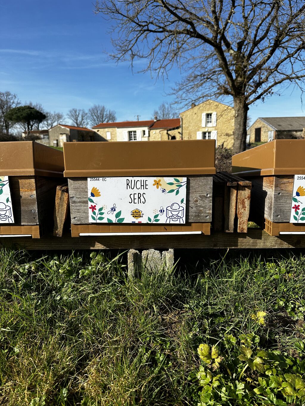 La ruche Sers