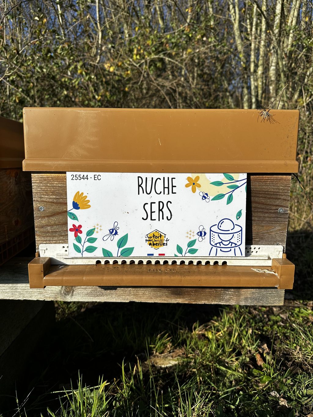 La ruche Sers