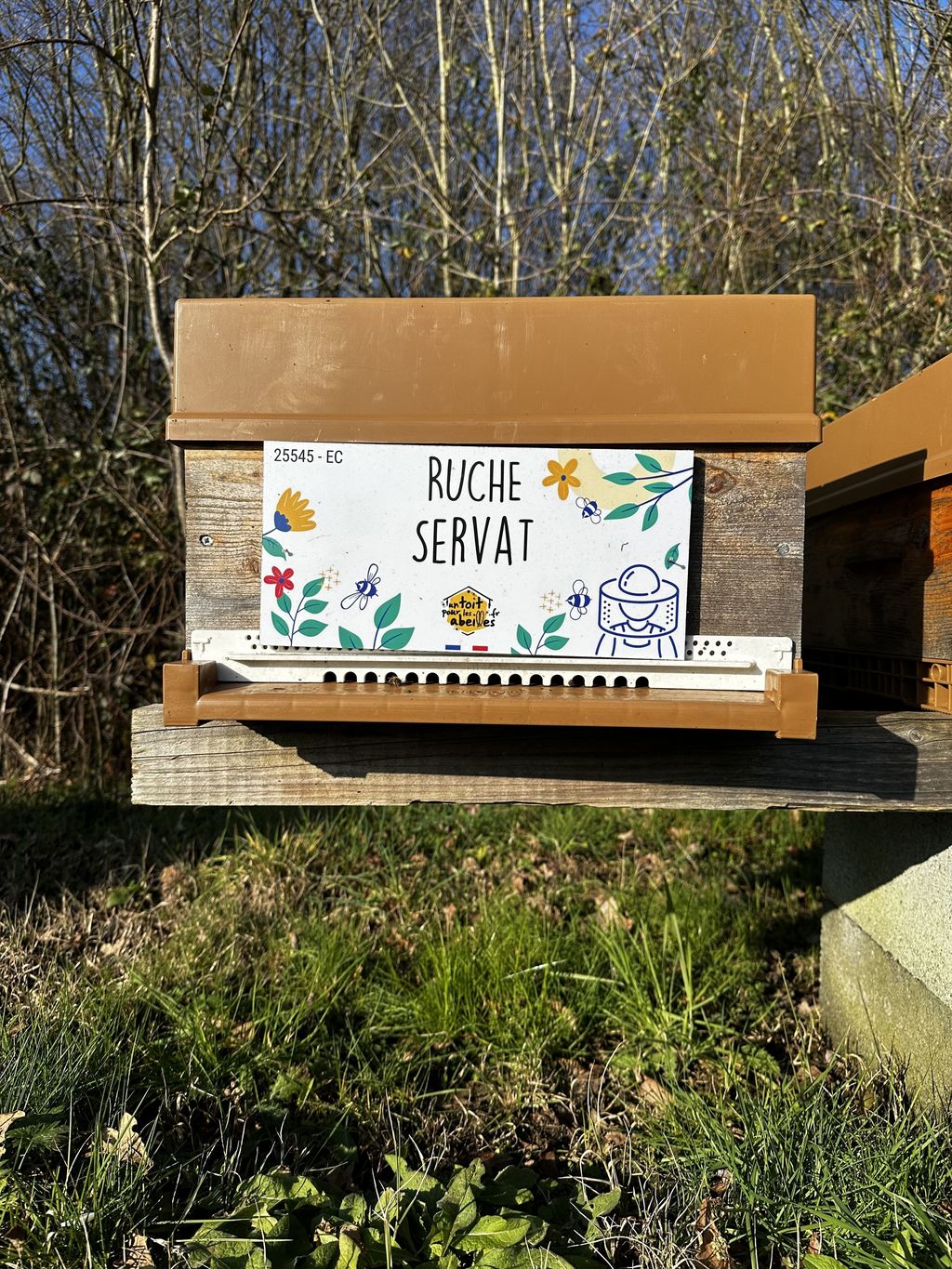 La ruche Servat