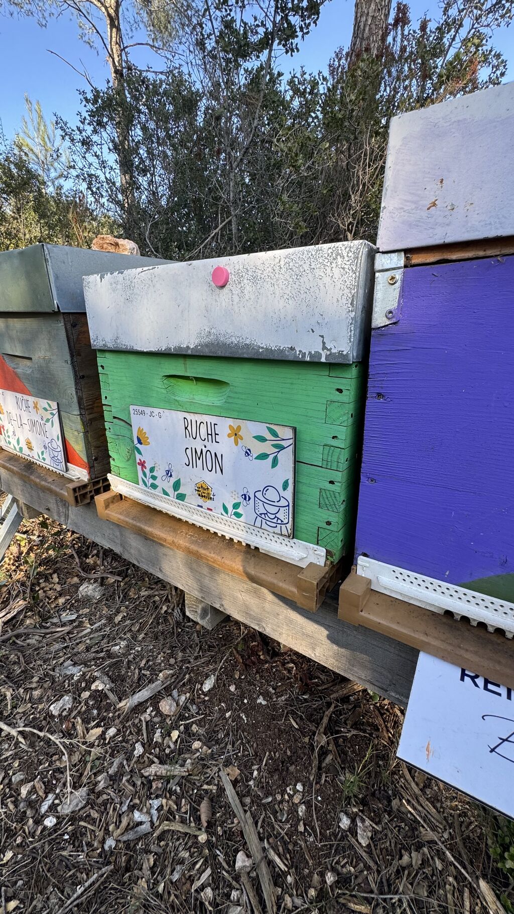 La ruche Simon