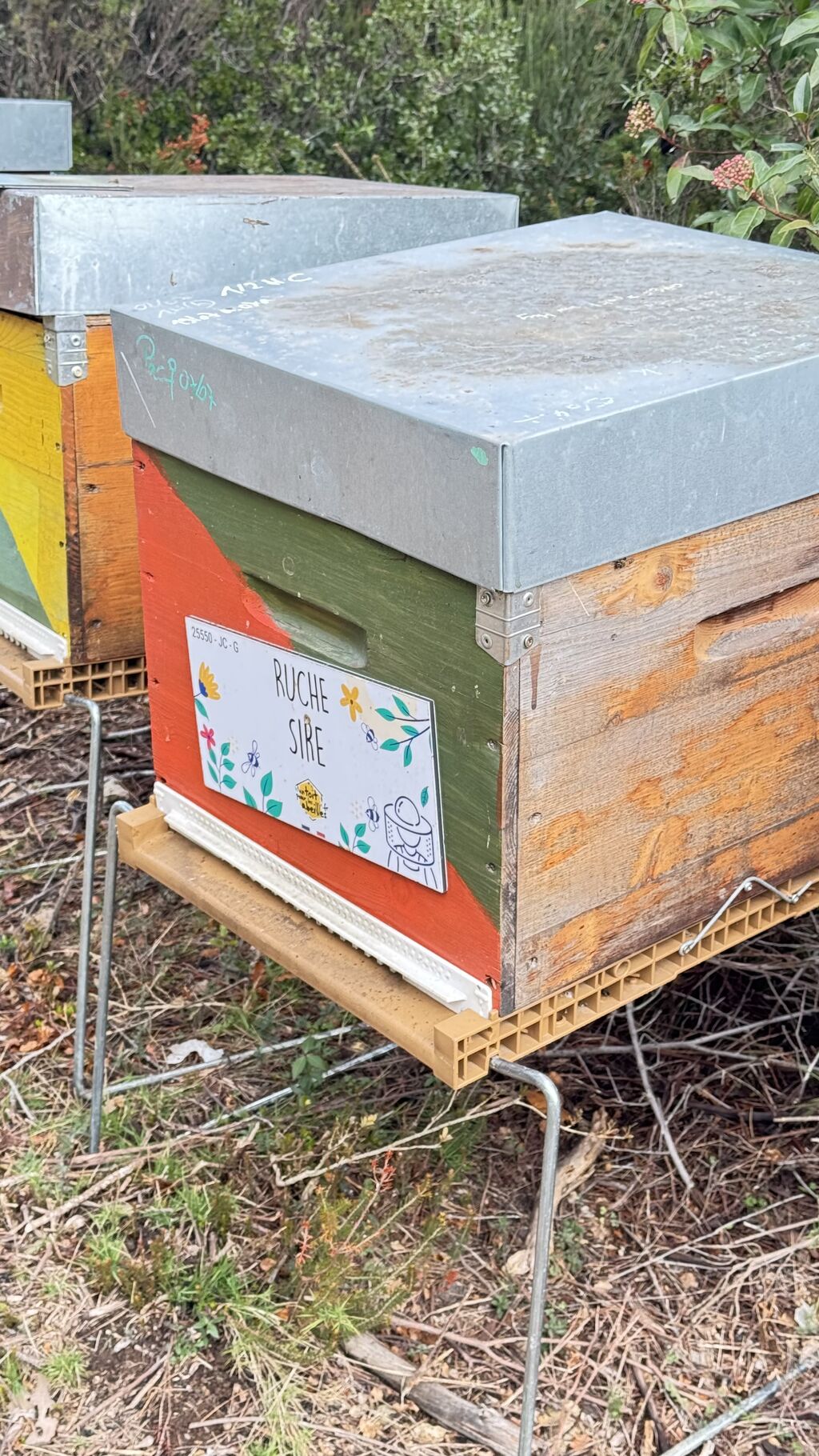 La ruche Sire
