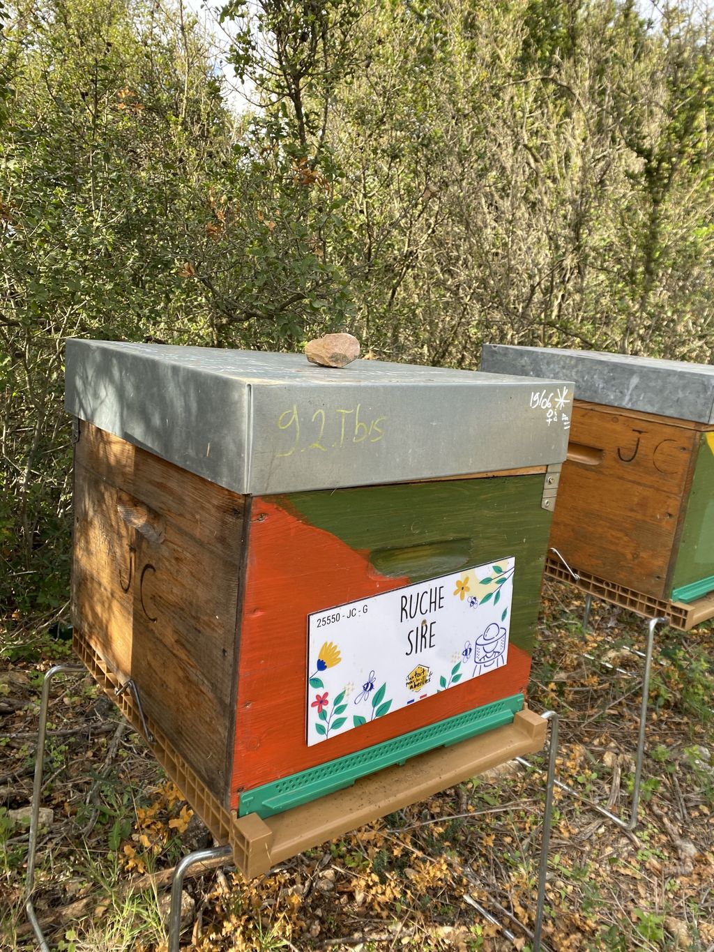 La ruche Sire